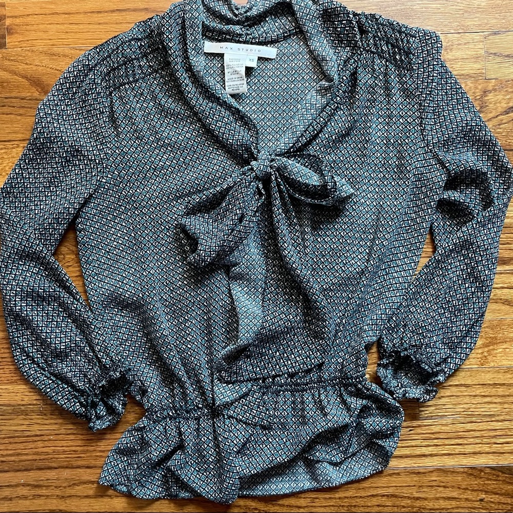 Max Studio Sheer Blouse